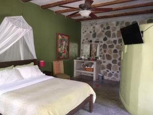 TV a/nebo společenská místnost v ubytování Casa Cangrejal B&B Hotel + 13 fotografií