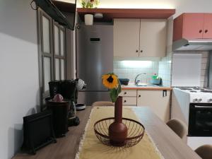 Kuchyň nebo kuchyňský kout v ubytování petite nafplio sofos apartment