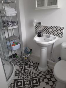 a bathroom with a sink and a toilet at Rosie's place in Hartland