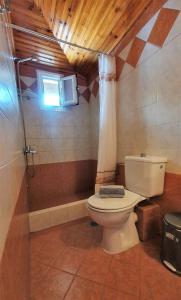 a bathroom with a toilet and a shower with a window at Rodon Garden Centre in Sarti