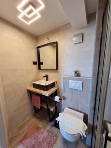 a bathroom with a sink and a toilet and a mirror at Apartmani Donata in Rijeka