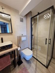 een badkamer met een douche, een toilet en een wastafel bij Apartmani Donata in Rijeka