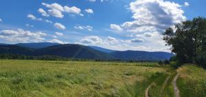 Príroda v okolí apartmánu