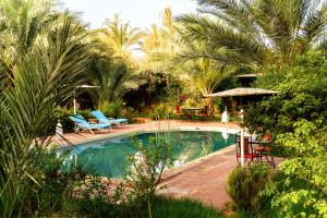 Bazén v ubytování Riad Zagora Palms nebo v jeho okolí