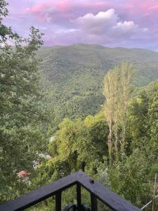 Príroda v okolí dovolenkového domu + 22 fotografií