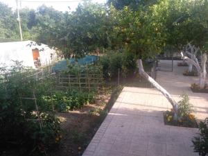 A garden outside STUDIO SPYROS