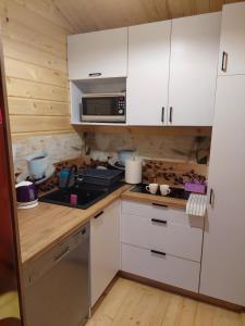 Kuchyňa alebo kuchynka v ubytovaní Domek Kalilla + 12 fotografií