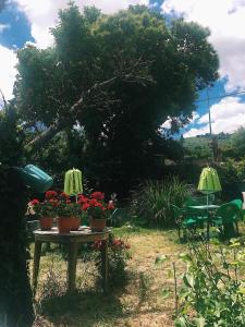 - une table avec des fleurs dans un jardin dans l'établissement Albergue de peregrinos Santa Marina, à Molinaseca
