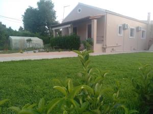 A garden outside STUDIO SPYROS