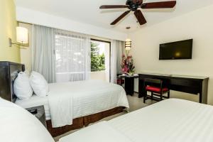 ein Hotelzimmer mit 2 Betten und einem Flachbild-TV in der Unterkunft Casa Francisco in Cuernavaca
