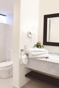 a bathroom with a sink and a toilet and a mirror at Casa Francisco in Cuernavaca