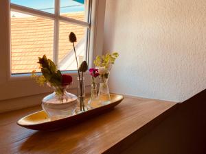 a tray with vases of flowers on a window sill at das Eppelsheimer in Undenheim