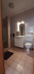 y baño con aseo, lavabo y ducha. en Villa Dobra Family Apartments en Vir