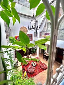 a room with a table with plants and a chandelier at Riad Dar Chadia in Marrakesh +81 photos