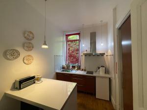 a kitchen with a counter and a sink and a window at La Maison in Saint-Béat