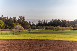 Príroda v okolí hostela