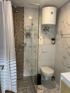 a bathroom with a toilet and a glass shower at Regina apartments in Budva +27 photos