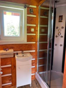 a bathroom with a sink and a shower at Apartmany Silver in Rokytnice nad Jizerou +48 photos