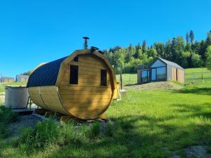 a round house with a roof on a grass field at Klimkówka Pod Gwiazdami in Klimkówka