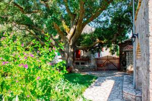 A garden outside Menelia Cottage