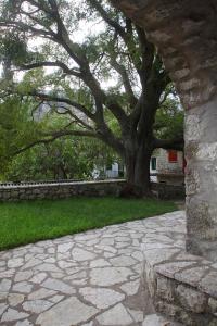 A garden outside Menelia Cottage