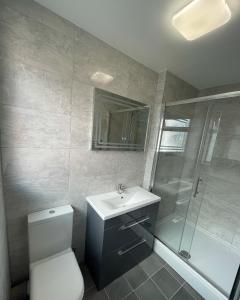 uma casa de banho com um WC, um lavatório e um chuveiro em Lovely 1 bed ground floor flat in Leamington Spa em Leamington Spa