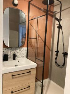 La salle de bains est pourvue d'un lavabo et d'une douche avec un miroir. dans l'établissement Cabourg T2 Front de Mer - Proche Thalasso, à Cabourg