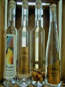 a group of four bottles of wine on a shelf at Wohnung Feuerberg mit Südbalkon in Ediger-Eller
