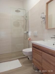 een badkamer met een douche, een toilet en een wastafel bij Apartmant & rooms Villa Rosa Medulin in Pomer