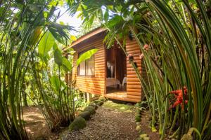 a wooden cabin in the middle of some plants at Arenal Rústic Lodge in Fortuna