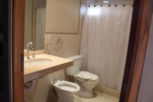 a bathroom with a toilet and a sink and a shower at Marvic Hotel in San Pedro