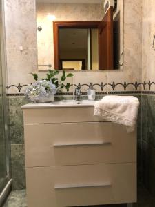 a bathroom with a sink and a mirror at FIFA in Arzúa