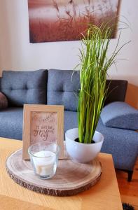 a table with a bowl and a plant on it at Apartma Metka Bovec in Bovec