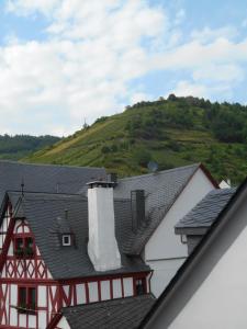 a roof of a house with a hill in the background at Wohnung Feuerberg mit Südbalkon in Ediger-Eller