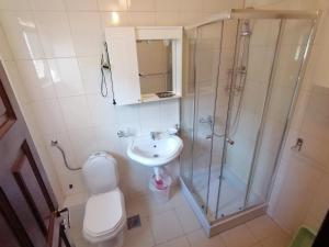 uma casa de banho com um chuveiro, um WC e um lavatório. em Vila Mila em Budva