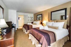 Un pat sau paturi într-o cameră la Twin Peaks Lodge & Hot Springs