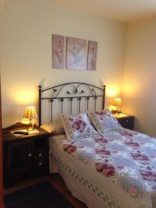 1 dormitorio con 1 cama con 2 mesitas de noche y 2 lámparas en Les Piperes, en Corao