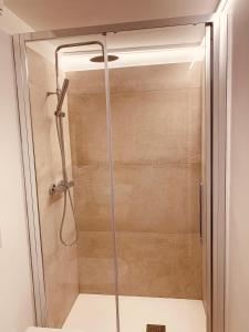 una ducha con puerta de cristal en un baño en Petit Câlin - Le Four des Alpes, en Rhemes-Saint-Georges
