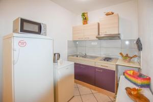 a small kitchen with a refrigerator and a microwave at Rooms Oak Tree in Biograd na Moru