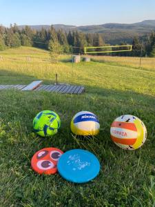 four balls in the grass in a field at Chata Drevenica Orava in Oravská Lesná