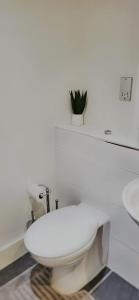 a bathroom with a toilet and a plant on the wall at City Centre 1 Bed Apartment in Birmingham