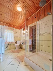 a bathroom with a shower and a sink and a toilet at Góralska Chata Bystre z 1863r in Istebna