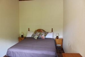 1 dormitorio con 1 cama con 2 almohadas en Casa Teresina, en La Plana de Mont-Ros