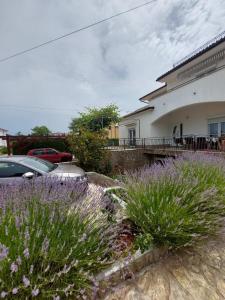 budynek z fioletowymi kwiatami przed nim w obiekcie Apartments Haus Antica w mieście Malinska