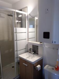 La salle de bains est pourvue d'une douche, d'un lavabo et de toilettes. dans l'établissement Le petit Cabourgeais, à Cabourg