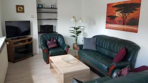 ein Wohnzimmer mit einem grünen Sofa und einem TV in der Unterkunft Ferienwohnung in Gartenlandschaft in Kassel
