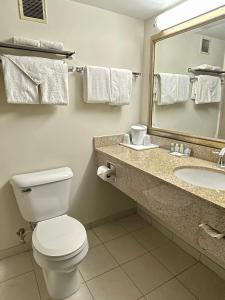 Kúpeľňa v ubytovaní Quality Inn