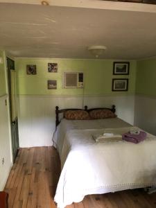 a bed in a bedroom with green walls at Seafarer Inn and Cottages in Old Orchard Beach