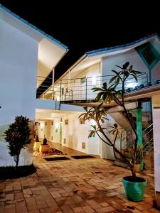 a house lit up at night with a potted plant at Pousada Marahú in Porto De Galinhas