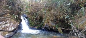 Paesaggio naturale nelle vicinanze dell'hotel